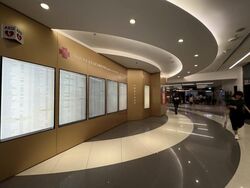Mount Elizabeth Hospital (D9), Retail #454636071